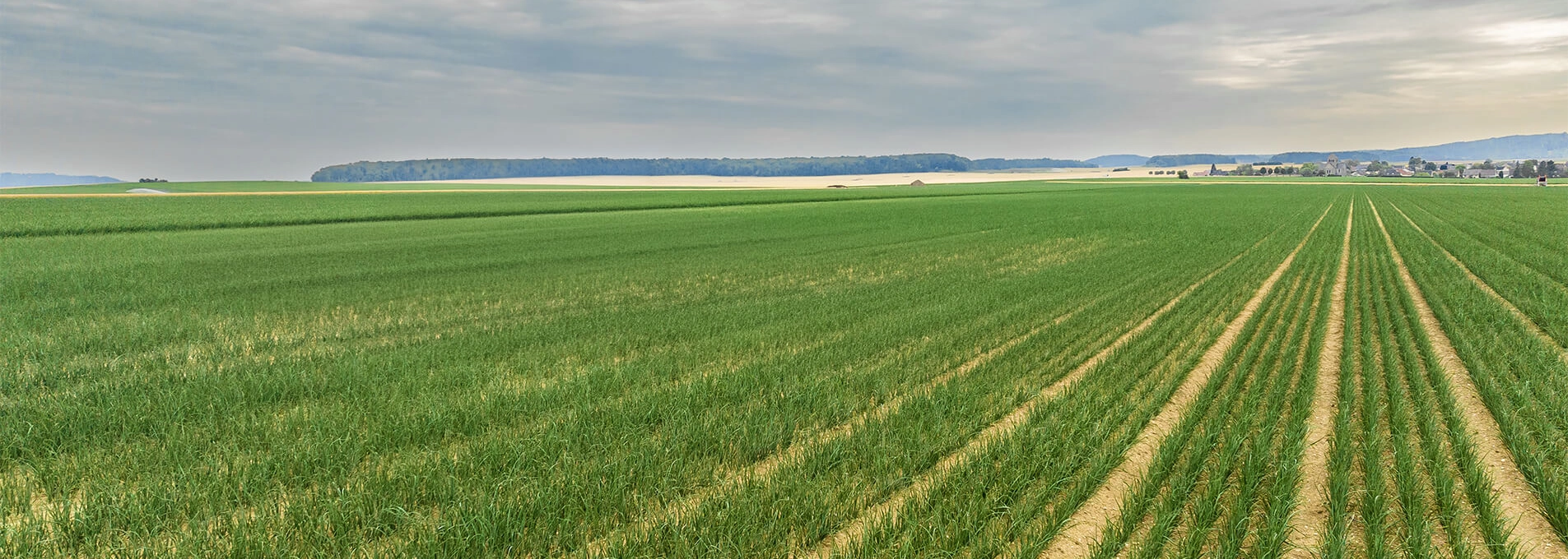 Pulvérisateur automoteur agricole ALPHA R-Activ EVRARD